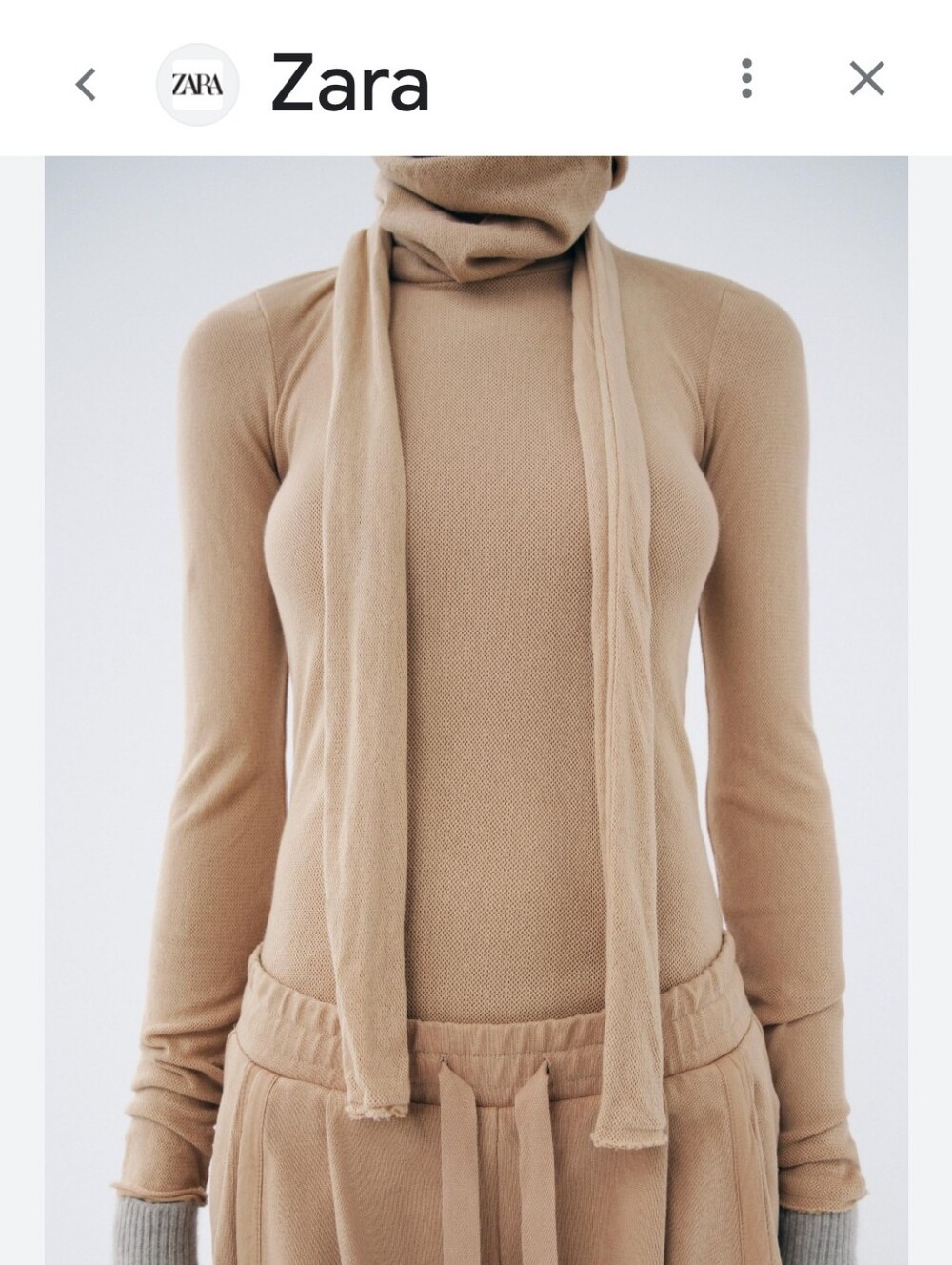 ZARA Beige Tan Turtleneck Long Sleeve Women's Sweater